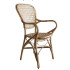 Furniture rotan export kursi santai rotan klasik modern natural